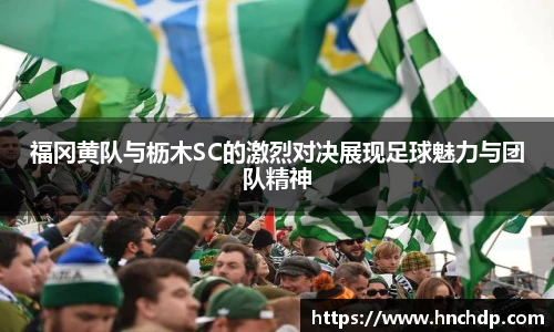 谈球吧福冈黄队与枥木SC的激烈对决展现足球魅力与团队精神